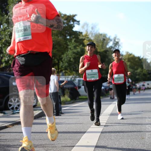 20.09.2026 - PSD Bank Halbmarathon Jannik Wohlers http://msf.ph/oto/10516184 20.09.2026 10:52:36 Laufen 4017, 4350, 4349 meine-sportfotos.de