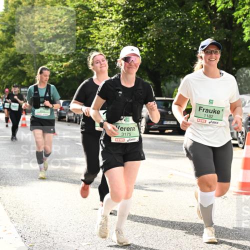 20.09.2026 - PSD Bank Halbmarathon Dr. Thomas Lammeyer http://msf.ph/oto/10516186 20.09.2026 11:10:47 Laufen 3175, 1182 meine-sportfotos.de