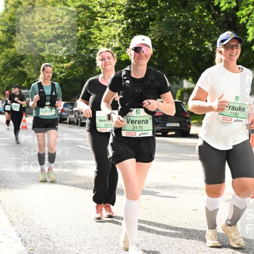 20.09.2026 - PSD Bank Halbmarathon Dr. Thomas Lammeyer http://msf.ph/oto/10516190 20.09.2026 11:10:47 Laufen 3571, 3175, 1182 meine-sportfotos.de