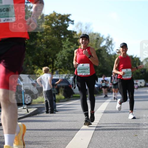 20.09.2026 - PSD Bank Halbmarathon Jannik Wohlers http://msf.ph/oto/10516199 20.09.2026 10:52:36 Laufen 4017, 4350, 4349 meine-sportfotos.de