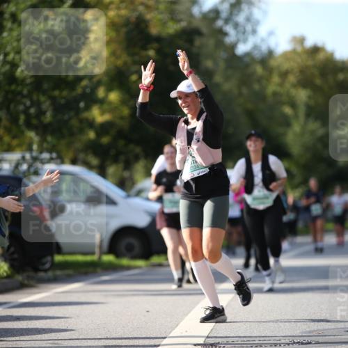 20.09.2026 - PSD Bank Halbmarathon Jannik Wohlers http://msf.ph/oto/10516239 20.09.2026 10:52:40 Laufen 3324 meine-sportfotos.de