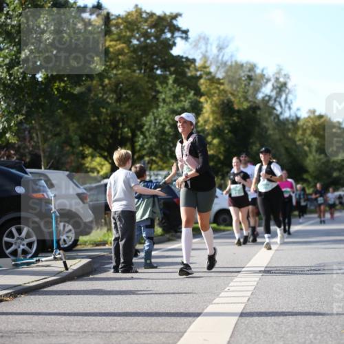 20.09.2026 - PSD Bank Halbmarathon Jannik Wohlers http://msf.ph/oto/10516269 20.09.2026 10:52:41 Laufen  meine-sportfotos.de