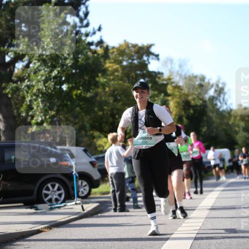 20.09.2026 - PSD Bank Halbmarathon Jannik Wohlers http://msf.ph/oto/10516299 20.09.2026 10:52:46 Laufen 1230 meine-sportfotos.de