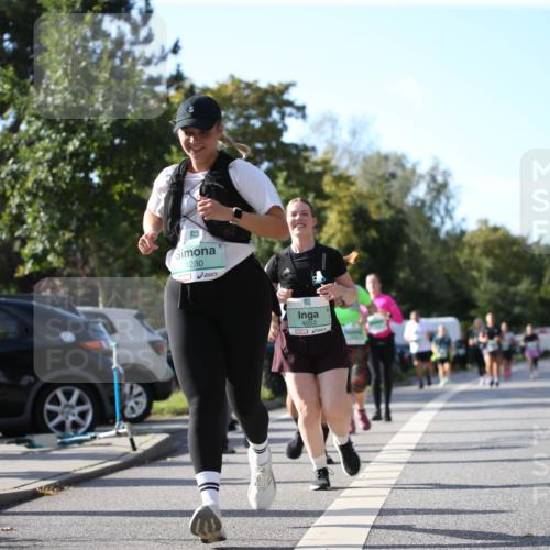 20.09.2026 - PSD Bank Halbmarathon Jannik Wohlers http://msf.ph/oto/10516301 20.09.2026 10:52:47 Laufen 1230, 4053 meine-sportfotos.de