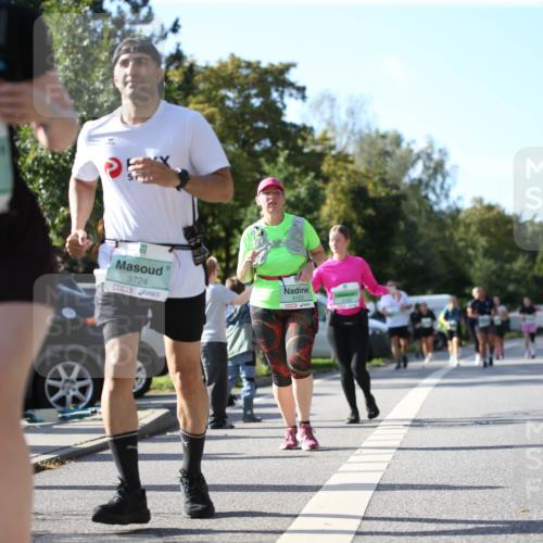 20.09.2026 - PSD Bank Halbmarathon Jannik Wohlers http://msf.ph/oto/10516313 20.09.2026 10:52:49 Laufen 4073, 3724, 4153 meine-sportfotos.de