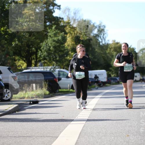 20.09.2026 - PSD Bank Halbmarathon Jannik Wohlers http://msf.ph/oto/10516417 20.09.2026 10:53:09 Laufen 710, 2726 meine-sportfotos.de