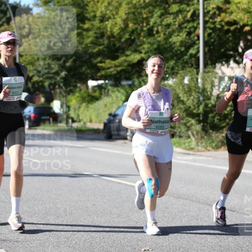 20.09.2026 - PSD Bank Halbmarathon Jannik Wohlers http://msf.ph/oto/10516502 20.09.2026 10:38:49 Laufen 9, 3261, 4283, 1380 meine-sportfotos.de