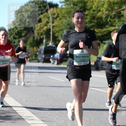 20.09.2026 - PSD Bank Halbmarathon Jannik Wohlers http://msf.ph/oto/10516659 20.09.2026 10:39:08 Laufen 2739, 2315, 3367 meine-sportfotos.de