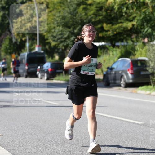 20.09.2026 - PSD Bank Halbmarathon Jannik Wohlers http://msf.ph/oto/10516679 20.09.2026 10:39:11 Laufen 2435 meine-sportfotos.de