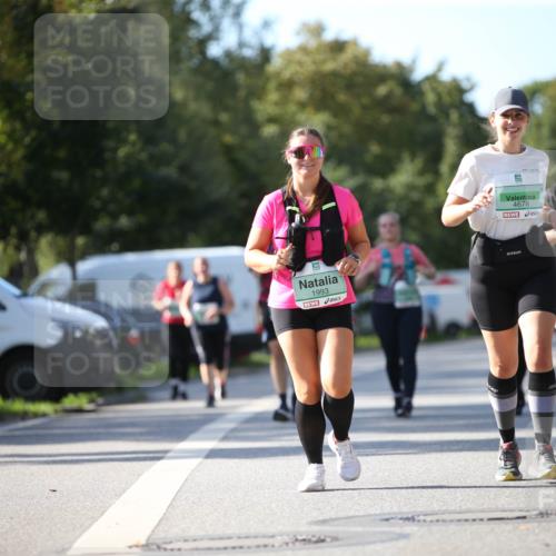 20.09.2026 - PSD Bank Halbmarathon Jannik Wohlers http://msf.ph/oto/10516758 20.09.2026 10:54:44 Laufen 1993, 4678, 3805, 1473 meine-sportfotos.de