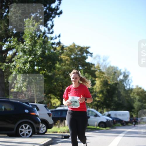 20.09.2026 - PSD Bank Halbmarathon Jannik Wohlers http://msf.ph/oto/10516888 20.09.2026 10:55:03 Laufen 4408 meine-sportfotos.de