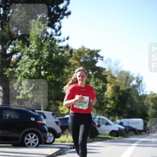 20.09.2026 - PSD Bank Halbmarathon Jannik Wohlers http://msf.ph/oto/10516894 20.09.2026 10:55:03 Laufen 4408 meine-sportfotos.de