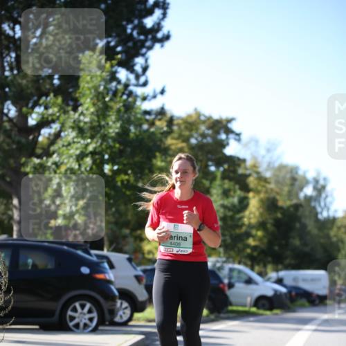 20.09.2026 - PSD Bank Halbmarathon Jannik Wohlers http://msf.ph/oto/10516900 20.09.2026 10:55:03 Laufen 4408 meine-sportfotos.de