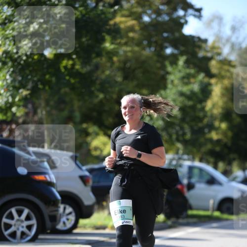 20.09.2026 - PSD Bank Halbmarathon Jannik Wohlers http://msf.ph/oto/10516913 20.09.2026 10:55:29 Laufen 2393 meine-sportfotos.de