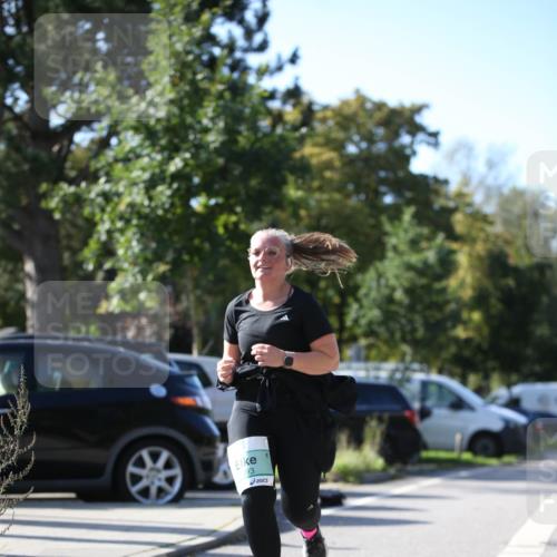 20.09.2026 - PSD Bank Halbmarathon Jannik Wohlers http://msf.ph/oto/10516920 20.09.2026 10:55:29 Laufen 93 meine-sportfotos.de