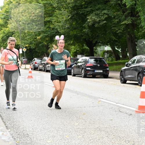 20.09.2026 - PSD Bank Halbmarathon Dr. Thomas Lammeyer http://msf.ph/oto/10517160 20.09.2026 11:11:53 Laufen 9, 4164, 4683 meine-sportfotos.de