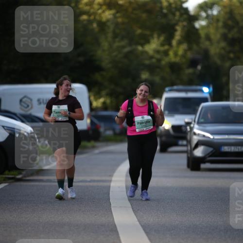 20.09.2026 - PSD Bank Halbmarathon Jannik Wohlers http://msf.ph/oto/10517187 20.09.2026 10:59:03 Laufen 1297, 2447, 8, 492746 meine-sportfotos.de