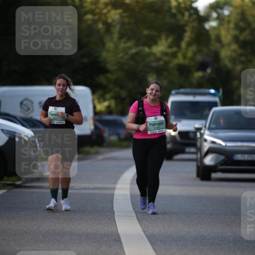 20.09.2026 - PSD Bank Halbmarathon Jannik Wohlers http://msf.ph/oto/10517192 20.09.2026 10:59:03 Laufen 1297, 2447 meine-sportfotos.de