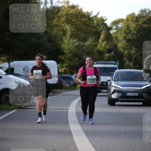 20.09.2026 - PSD Bank Halbmarathon Jannik Wohlers http://msf.ph/oto/10517193 20.09.2026 10:59:04 Laufen 129, 2447 meine-sportfotos.de