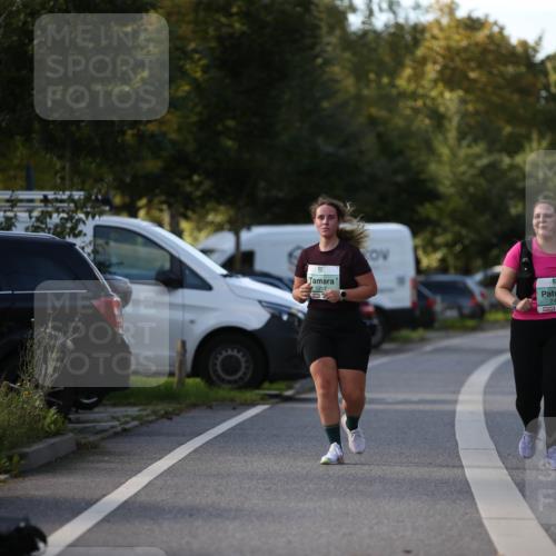 20.09.2026 - PSD Bank Halbmarathon Jannik Wohlers http://msf.ph/oto/10517196 20.09.2026 10:59:05 Laufen 1297, 2447 meine-sportfotos.de