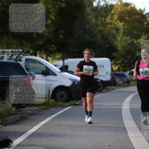 20.09.2026 - PSD Bank Halbmarathon Jannik Wohlers http://msf.ph/oto/10517200 20.09.2026 10:59:05 Laufen 2447 meine-sportfotos.de