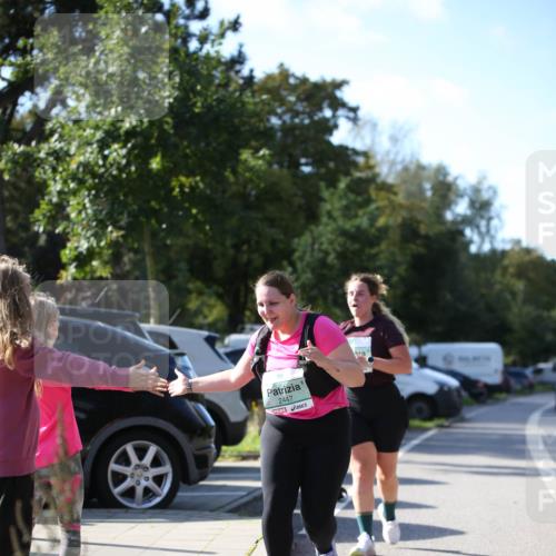 20.09.2026 - PSD Bank Halbmarathon Jannik Wohlers http://msf.ph/oto/10517236 20.09.2026 10:59:11 Laufen 2447 meine-sportfotos.de