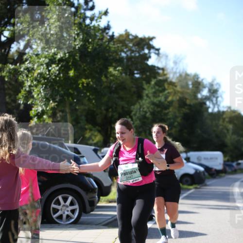 20.09.2026 - PSD Bank Halbmarathon Jannik Wohlers http://msf.ph/oto/10517238 20.09.2026 10:59:11 Laufen 2447 meine-sportfotos.de