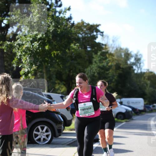 20.09.2026 - PSD Bank Halbmarathon Jannik Wohlers http://msf.ph/oto/10517243 20.09.2026 10:59:11 Laufen 2447, 297 meine-sportfotos.de