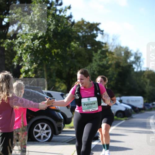 20.09.2026 - PSD Bank Halbmarathon Jannik Wohlers http://msf.ph/oto/10517245 20.09.2026 10:59:11 Laufen 2447 meine-sportfotos.de