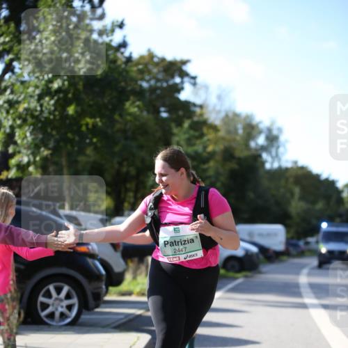 20.09.2026 - PSD Bank Halbmarathon Jannik Wohlers http://msf.ph/oto/10517249 20.09.2026 10:59:12 Laufen 2447 meine-sportfotos.de