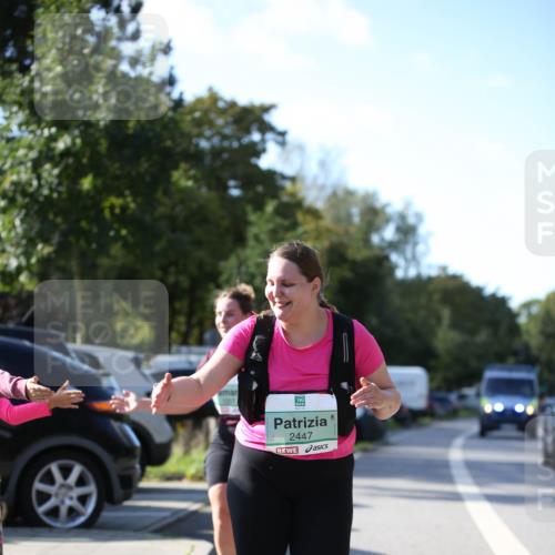 20.09.2026 - PSD Bank Halbmarathon Jannik Wohlers http://msf.ph/oto/10517256 20.09.2026 10:59:12 Laufen 2447 meine-sportfotos.de