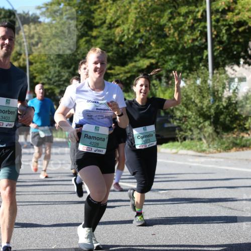 20.09.2026 - PSD Bank Halbmarathon Jannik Wohlers http://msf.ph/oto/10517257 20.09.2026 10:40:04 Laufen 1391, 3403, 2, 4228, 1373 meine-sportfotos.de