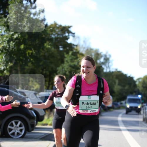 20.09.2026 - PSD Bank Halbmarathon Jannik Wohlers http://msf.ph/oto/10517259 20.09.2026 10:59:12 Laufen 2447 meine-sportfotos.de