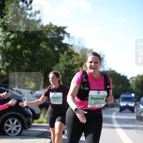 20.09.2026 - PSD Bank Halbmarathon Jannik Wohlers http://msf.ph/oto/10517261 20.09.2026 10:59:12 Laufen 1297, 2447 meine-sportfotos.de