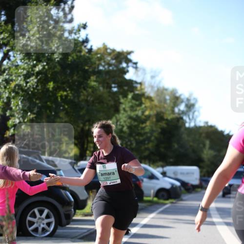 20.09.2026 - PSD Bank Halbmarathon Jannik Wohlers http://msf.ph/oto/10517265 20.09.2026 10:59:13 Laufen 1297 meine-sportfotos.de
