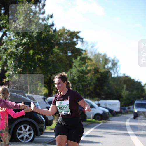 20.09.2026 - PSD Bank Halbmarathon Jannik Wohlers http://msf.ph/oto/10517271 20.09.2026 10:59:13 Laufen 1297 meine-sportfotos.de