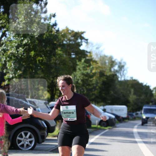 20.09.2026 - PSD Bank Halbmarathon Jannik Wohlers http://msf.ph/oto/10517275 20.09.2026 10:59:13 Laufen 1297 meine-sportfotos.de
