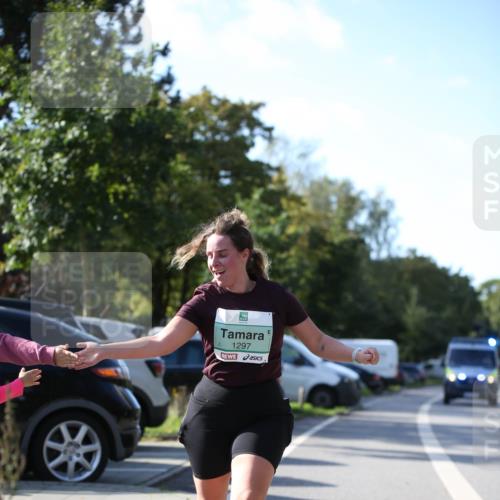 20.09.2026 - PSD Bank Halbmarathon Jannik Wohlers http://msf.ph/oto/10517281 20.09.2026 10:59:13 Laufen 1297 meine-sportfotos.de