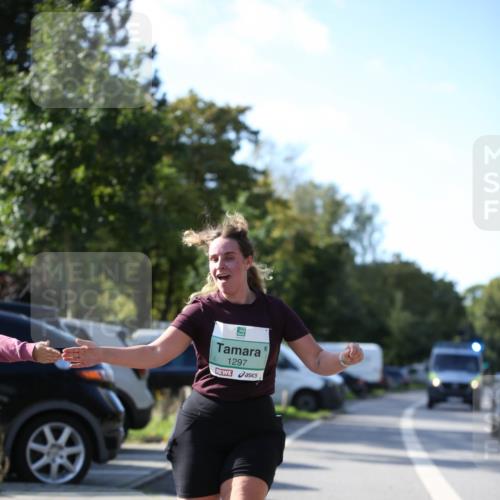 20.09.2026 - PSD Bank Halbmarathon Jannik Wohlers http://msf.ph/oto/10517282 20.09.2026 10:59:13 Laufen 1297 meine-sportfotos.de