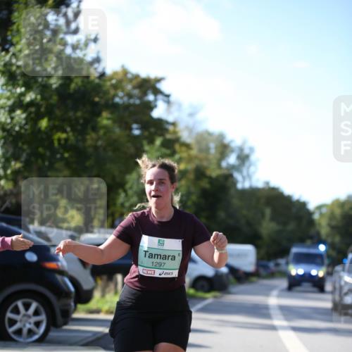 20.09.2026 - PSD Bank Halbmarathon Jannik Wohlers http://msf.ph/oto/10517286 20.09.2026 10:59:13 Laufen 1297 meine-sportfotos.de