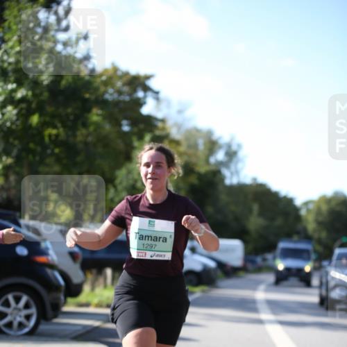 20.09.2026 - PSD Bank Halbmarathon Jannik Wohlers http://msf.ph/oto/10517288 20.09.2026 10:59:13 Laufen 1297 meine-sportfotos.de