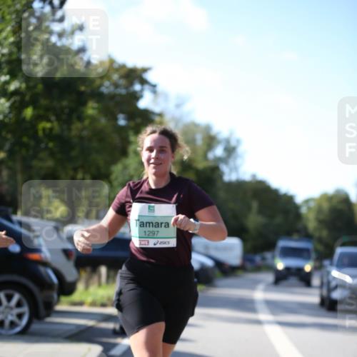 20.09.2026 - PSD Bank Halbmarathon Jannik Wohlers http://msf.ph/oto/10517292 20.09.2026 10:59:13 Laufen 1297 meine-sportfotos.de