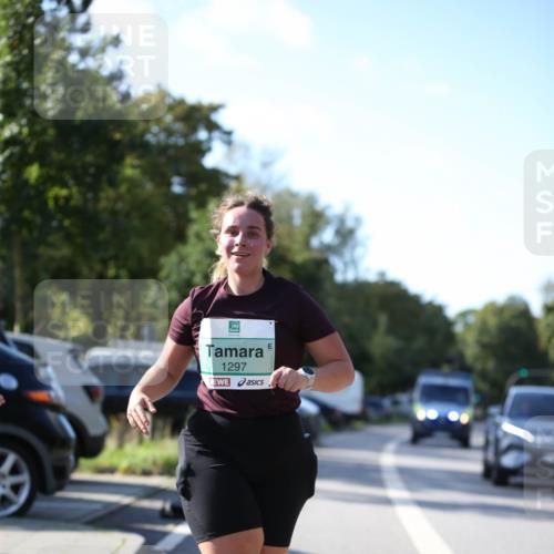 20.09.2026 - PSD Bank Halbmarathon Jannik Wohlers http://msf.ph/oto/10517295 20.09.2026 10:59:13 Laufen 1297 meine-sportfotos.de