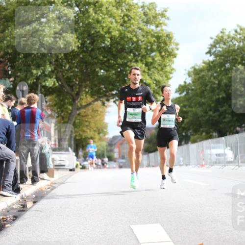 20.09.2026 - PSD Bank Halbmarathon Jannik Wohlers http://msf.ph/oto/10517605 20.09.2026 11:25:25 Laufen 4729 meine-sportfotos.de