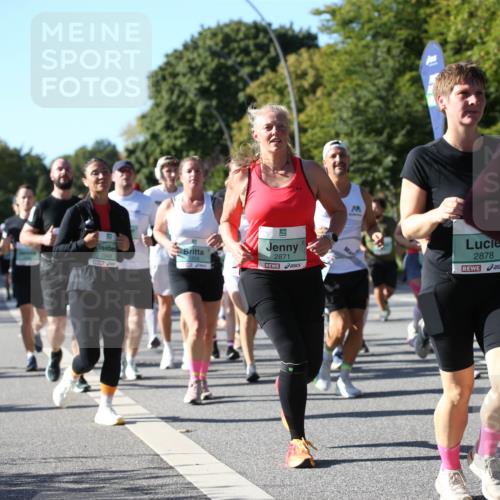 20.09.2026 - PSD Bank Halbmarathon Jannik Wohlers http://msf.ph/oto/10517828 20.09.2026 10:40:49 Laufen 1948, 1358, 2871, 99, 2878, 27 meine-sportfotos.de