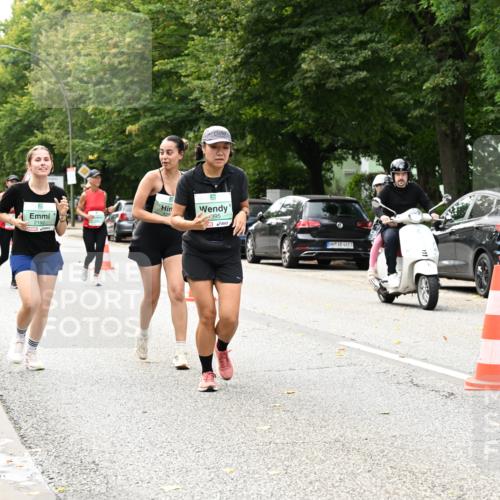 20.09.2026 - PSD Bank Halbmarathon Dr. Thomas Lammeyer http://msf.ph/oto/10517968 20.09.2026 11:12:30 Laufen 2192, 395, 4683 meine-sportfotos.de