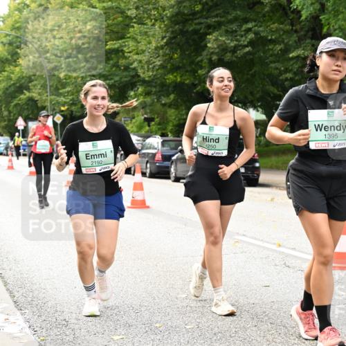 20.09.2026 - PSD Bank Halbmarathon Dr. Thomas Lammeyer http://msf.ph/oto/10518004 20.09.2026 11:12:32 Laufen 2192, 4250, 1395 meine-sportfotos.de