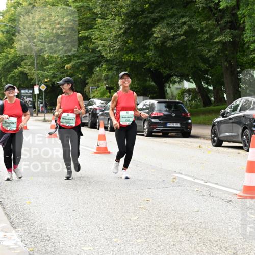 20.09.2026 - PSD Bank Halbmarathon Dr. Thomas Lammeyer http://msf.ph/oto/10518084 20.09.2026 11:12:39 Laufen 4350, 4349, 4683 meine-sportfotos.de