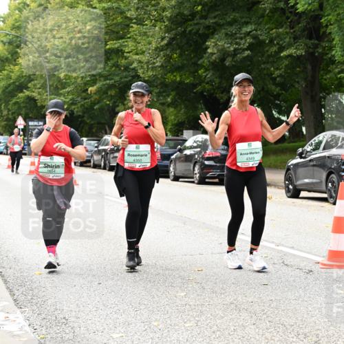 20.09.2026 - PSD Bank Halbmarathon Dr. Thomas Lammeyer http://msf.ph/oto/10518109 20.09.2026 11:12:40 Laufen 1684, 4350, 9, 4349, 2 meine-sportfotos.de