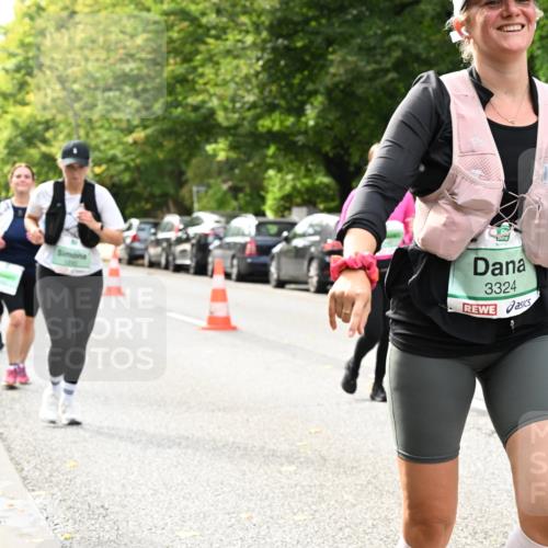 20.09.2026 - PSD Bank Halbmarathon Dr. Thomas Lammeyer http://msf.ph/oto/10518488 20.09.2026 11:13:04 Laufen 3324 meine-sportfotos.de